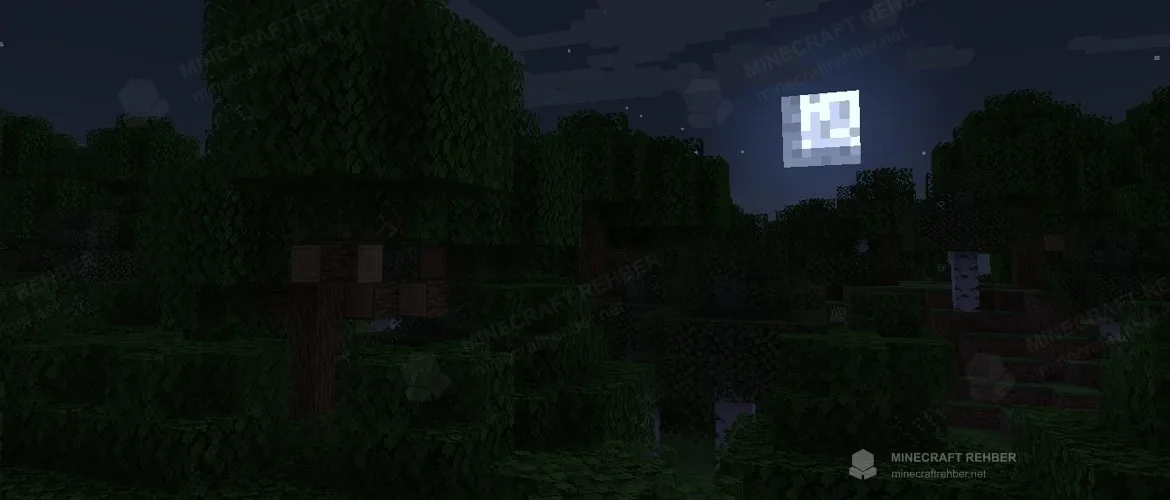 Ay ışığında karanlık Minecraft ormanı